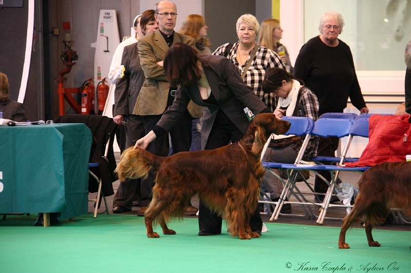 Crufts2011 430.jpg